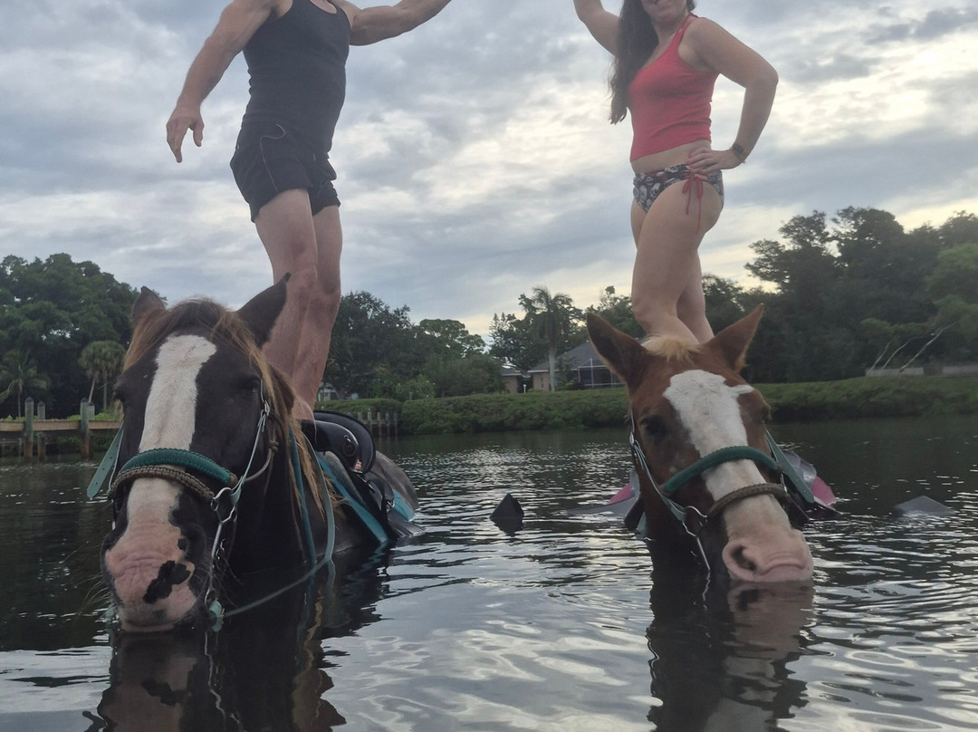 Florida Beach Horses-布雷登顿必去景点