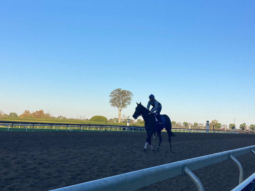 Keeneland-列克星敦必去景点