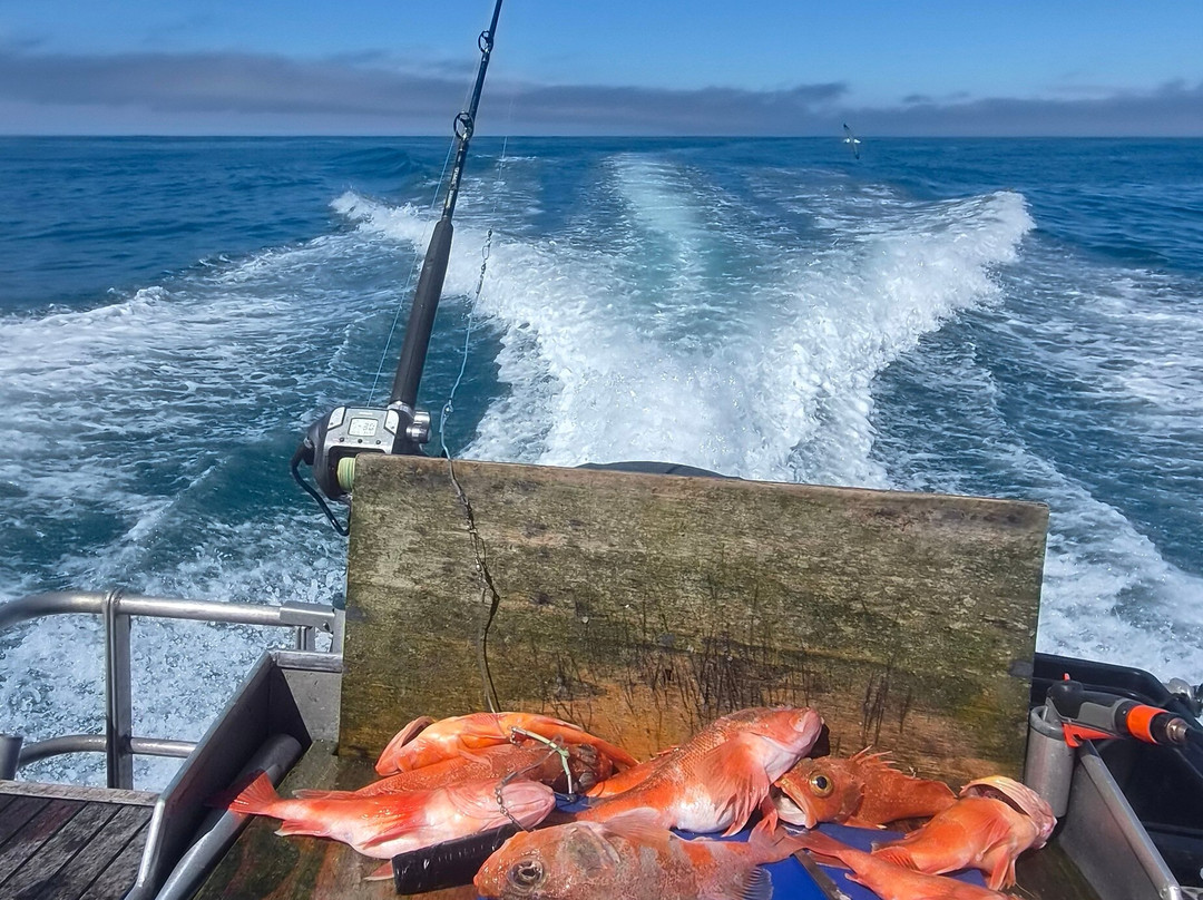 The Rodfather Fishing Charters-Kaikoura必去景点