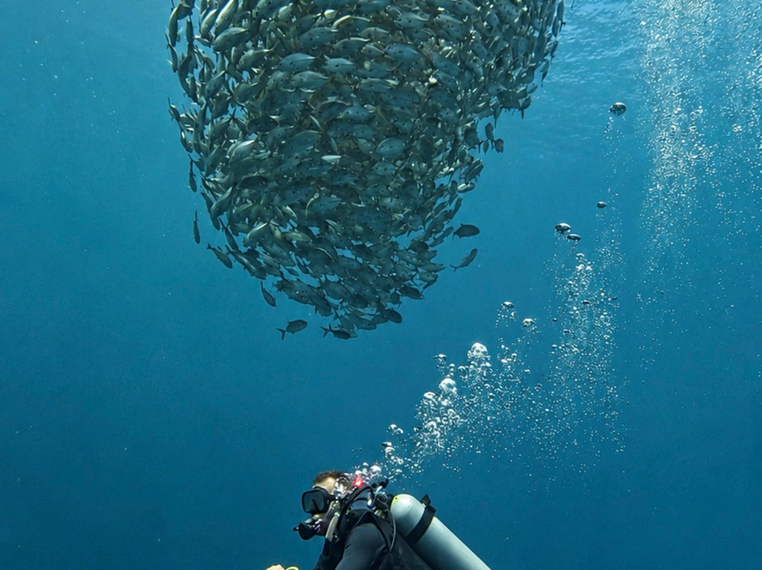 Bali Elite Scuba Team-图兰本必去景点