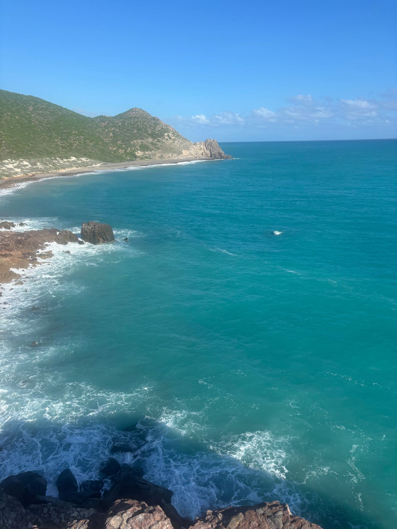 Cabo Pulmo Beach Resort-旅行者