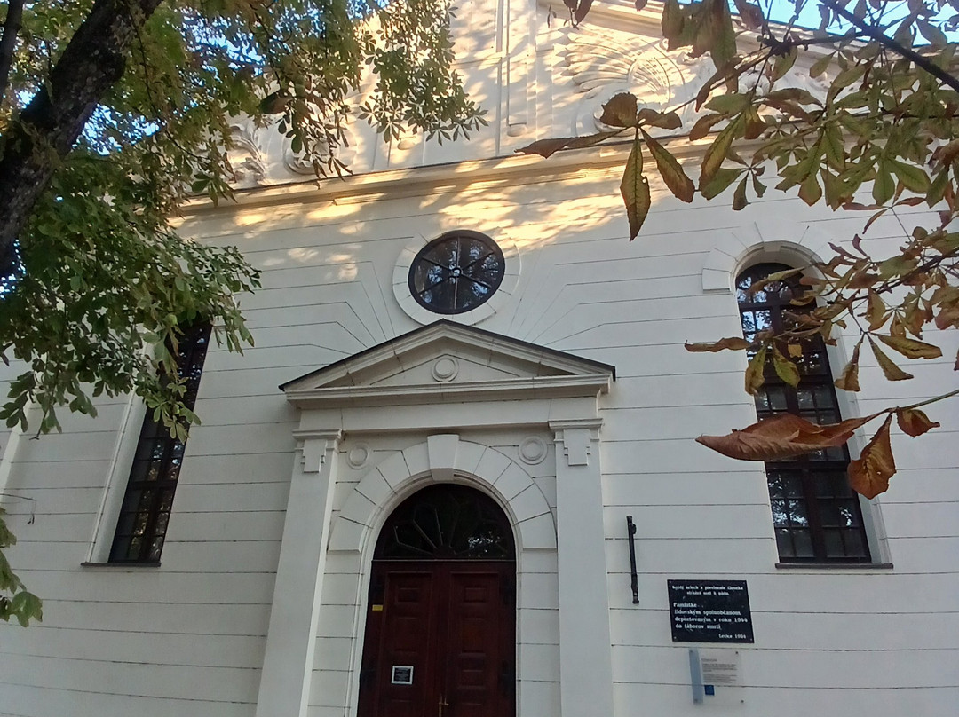 Levice Synagogue-莱维采必去景点