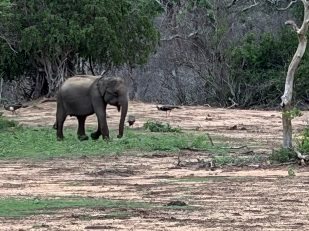 Indunil tours Sri Lanka-Deniyaya必去景点