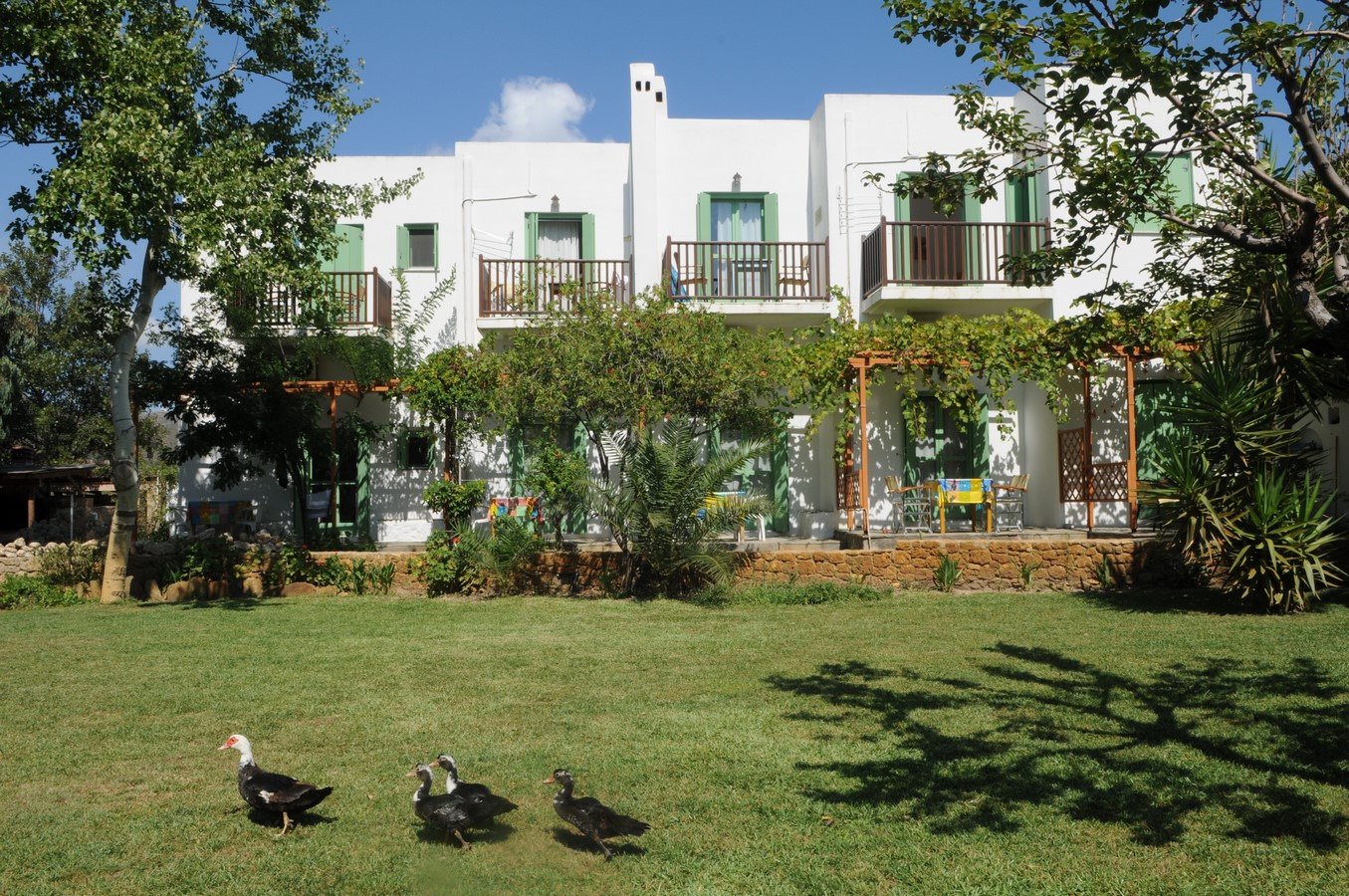 Pegasus Apartments-官方