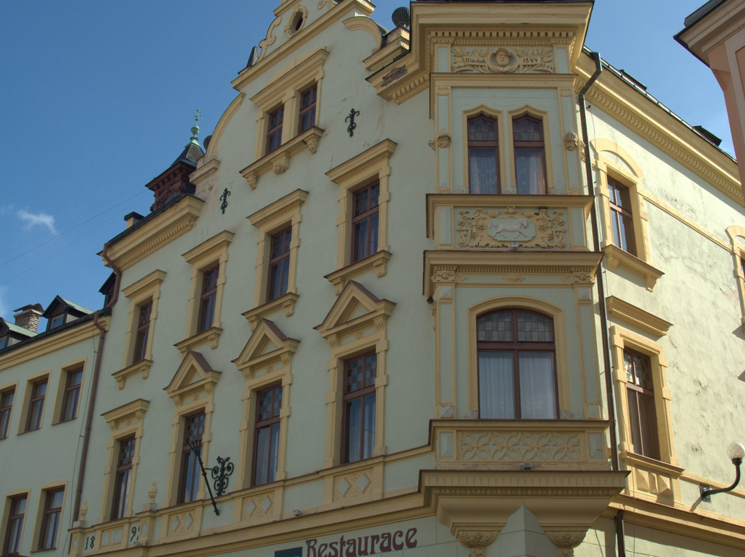 Horni Slavkov酒店住宿-White Horse Hotel