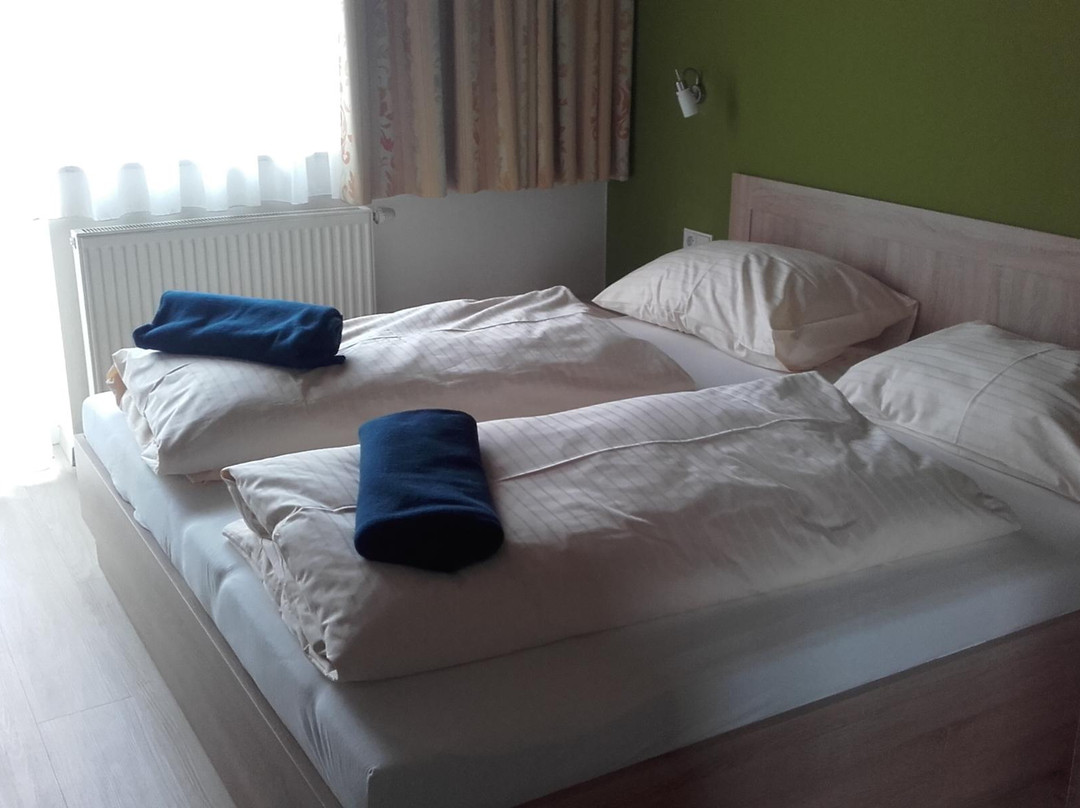 Frankenberg酒店住宿-Erlebnisgasthof Alpina