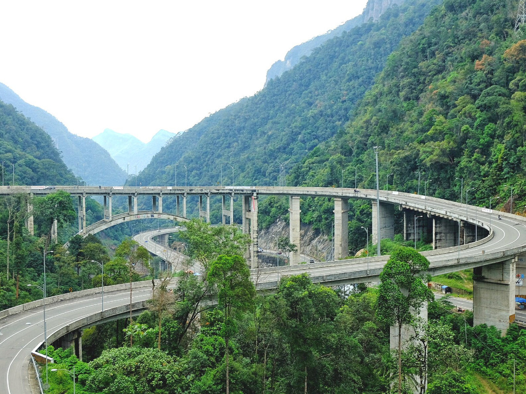 Tarantang旅游攻略图片