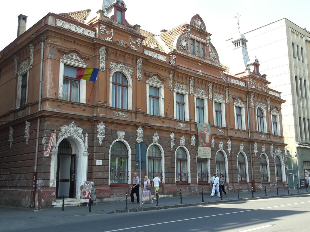 Muzeul de Artă景点图片