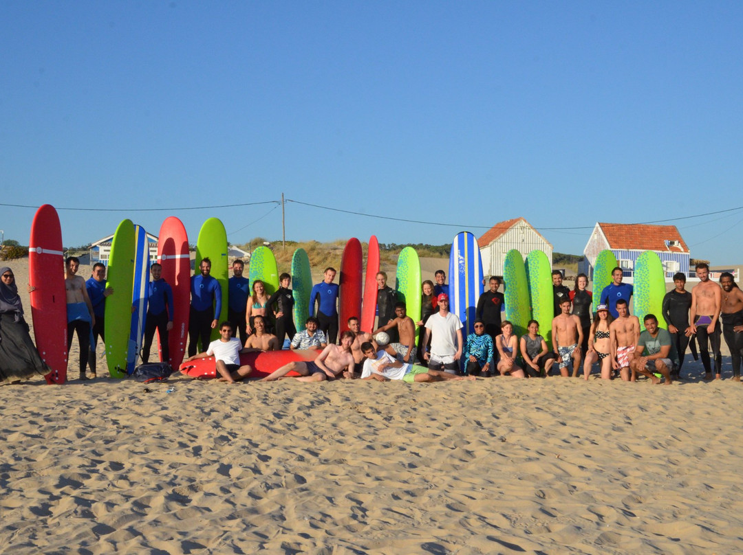 Tubeline Surf School景点图片