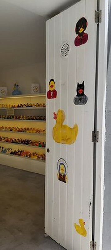 Madeira Duck Store-沙尔必去景点