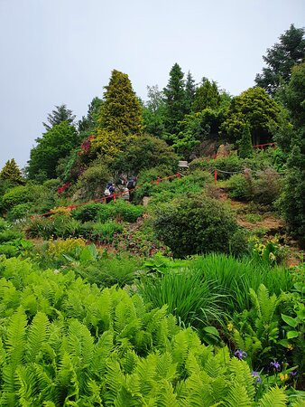 Glenwhan Gardens景点图片