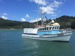 Waiuku Harbour Cruise-Waiuku必去景点