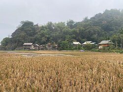 Little Mai Chau Home Stay主图
