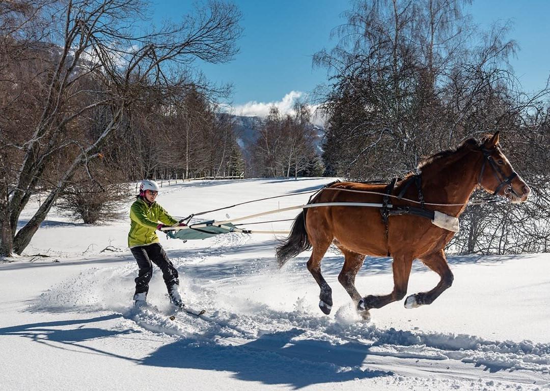 Cercle Equestre Volte Face-Les Deserts必去景点