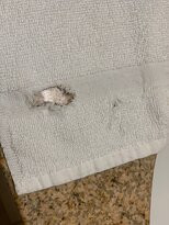 Comfort Suites Nacogdoches主图