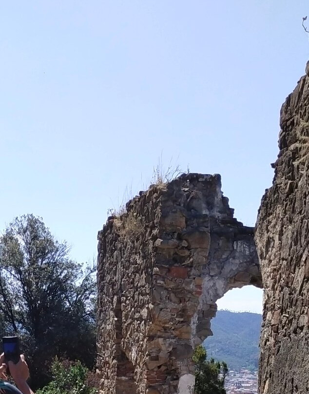 Pineta del Borgo主图