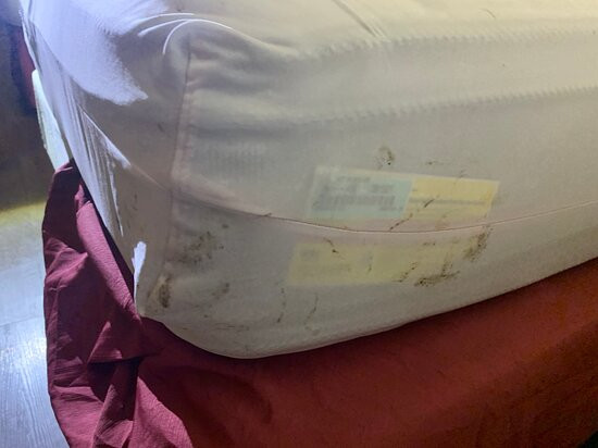 佛罗伦斯戴斯酒店主图