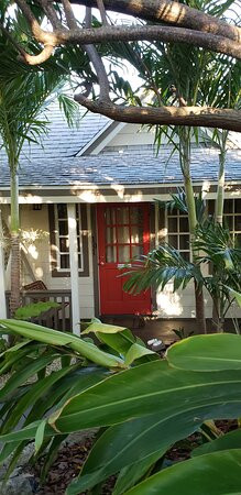 黄蝉别墅山林小屋主图