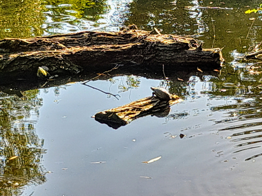 Chisinau Zoo