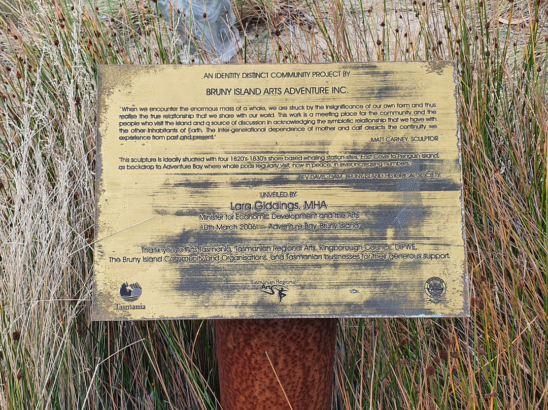 Bruny Island Arts Globe景点图片