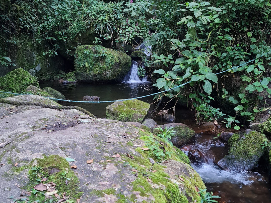 Cachoeira das Andorinhas-Sao Francisco Xavier必去景点