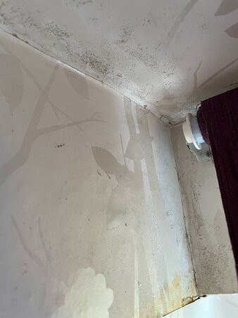 Bryn Aethwy Guest House主图