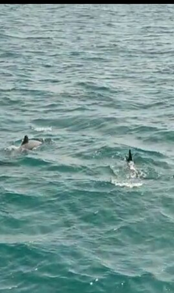 Costasol Cruceros-班纳玛德纳必去景点