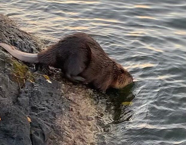 Park Point Resort主图