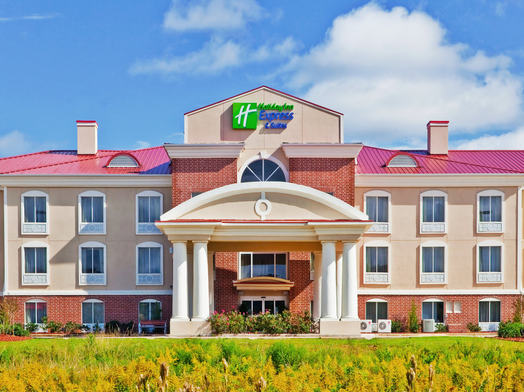 Prentiss酒店住宿-Holiday Inn Express & Suites Magee By IHG