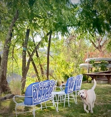 River Belle Inn主图