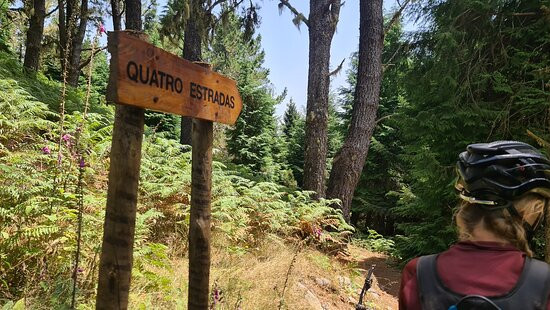 E-Bike Madeira-沙尔必去景点