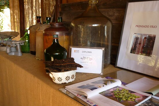 Olivos Centenarios-Huasco必去景点