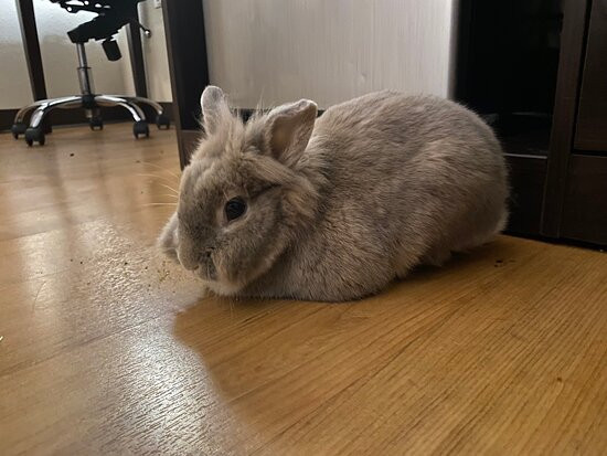 Red Roof Inn & Suites Biloxi - Ocean Springs