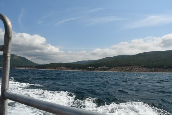 Cabot Trail Guaranteed Whales Adventures景点图片