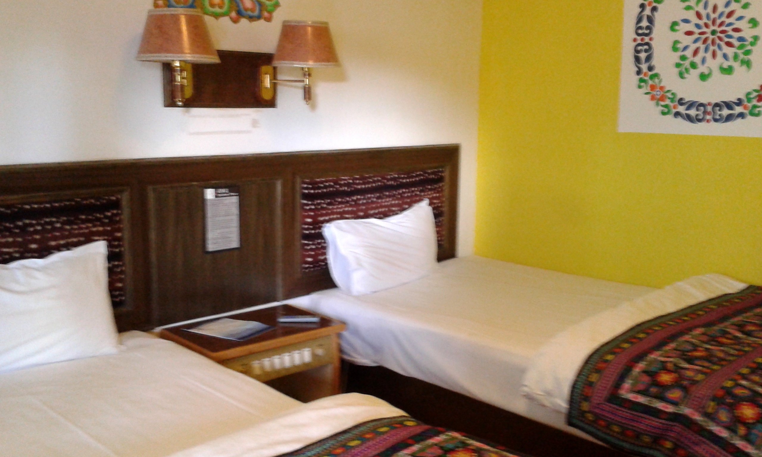 湖思茶屋国际青年旅舍-官方