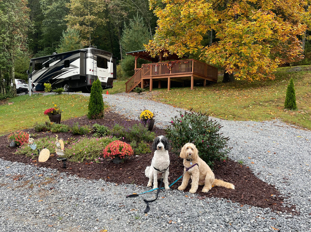 Deer Springs RV Park