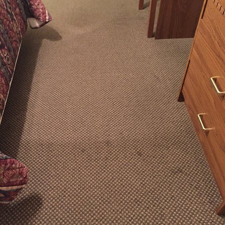 The Lodge at Arrow Lakes主图