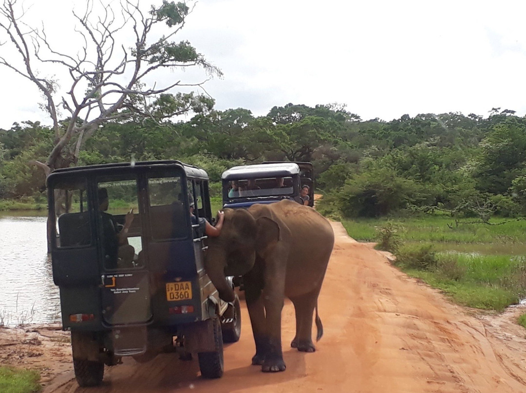 Oura Travel-瓦勒迦玛必去景点