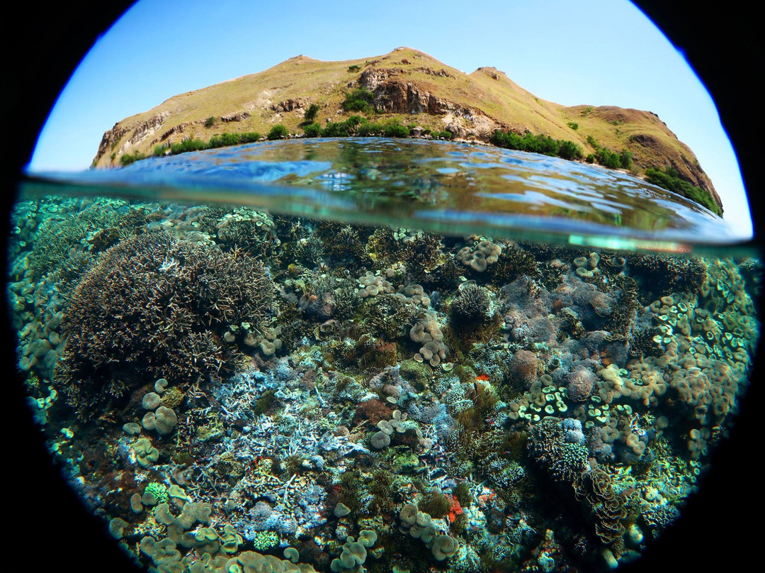 NEREN Diving Komodo-Labuan Bajo必去景点