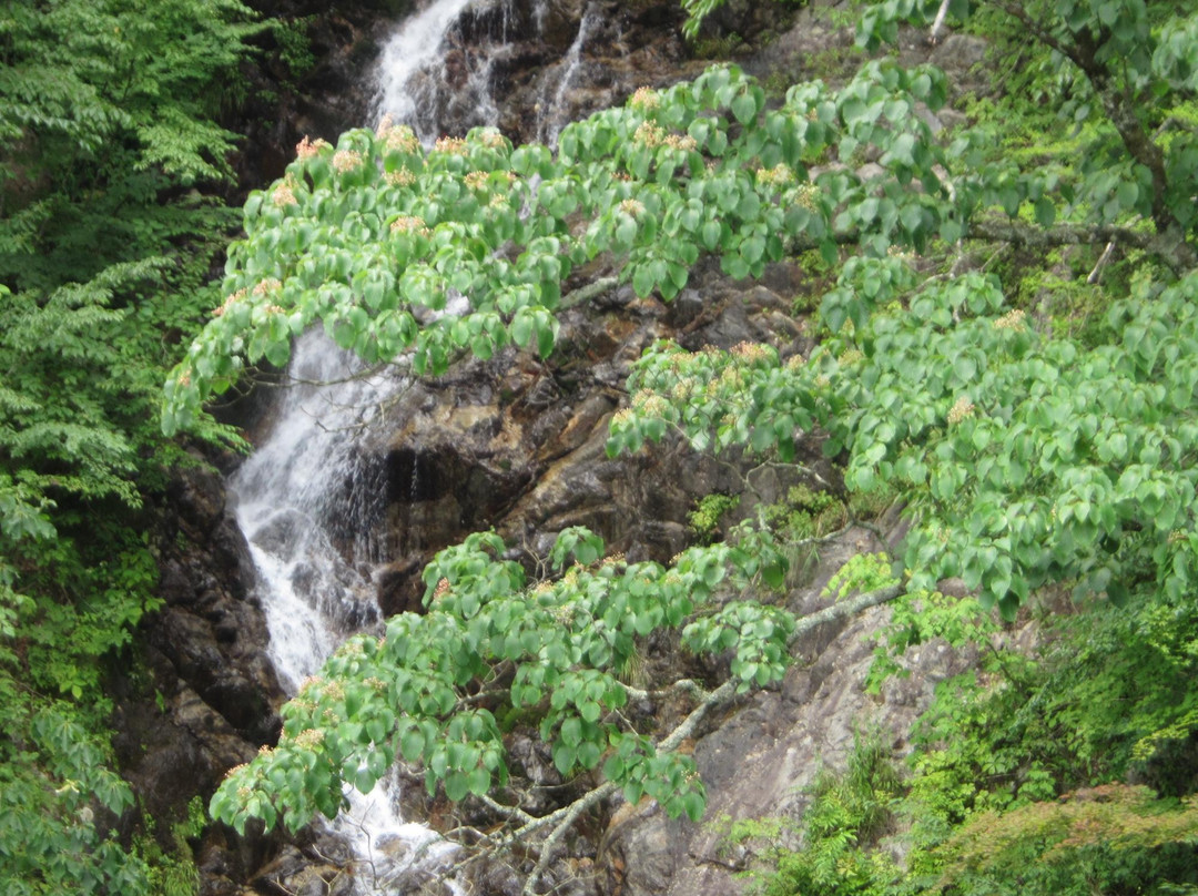 Mitoo Waterfalls-桧原村必去景点