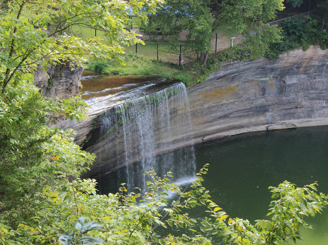 Albany旅游攻略图片