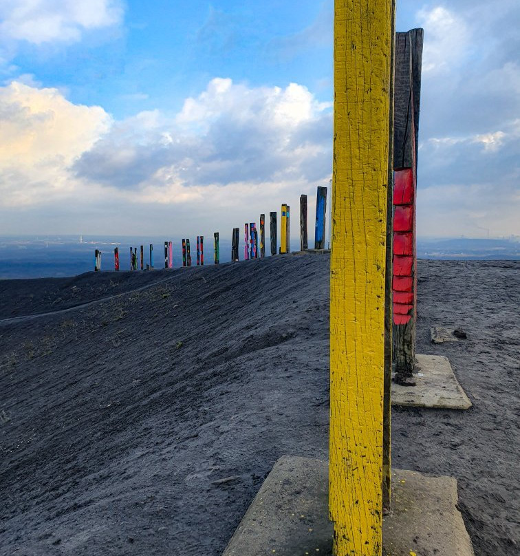 Halde Haniel (185m)景点图片