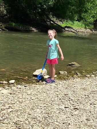 Englewood Metro Park-Vandalia必去景点