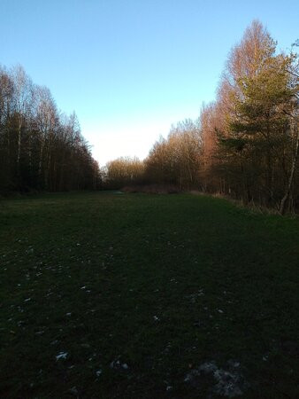 Orchid Wood-Breaston必去景点