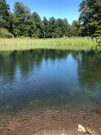 El Bosque De Los Ciervos-Panguipulli必去景点