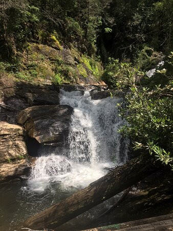 Chattahoochee National Forest景点图片