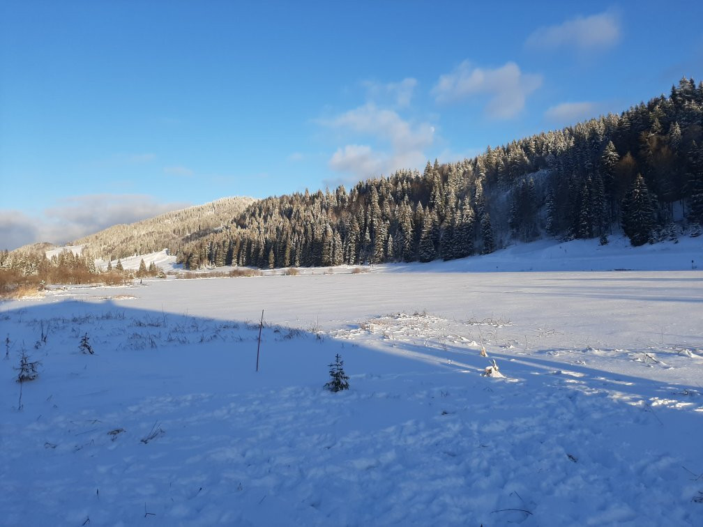 Randonnées Autour du Lac de Lamoura景点图片