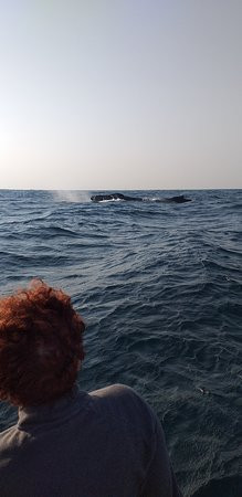 Oceans Alive-Scottburgh必去景点