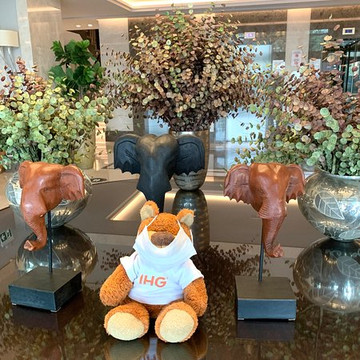 Holiday Inn Bursa - City Centre by IHG主图