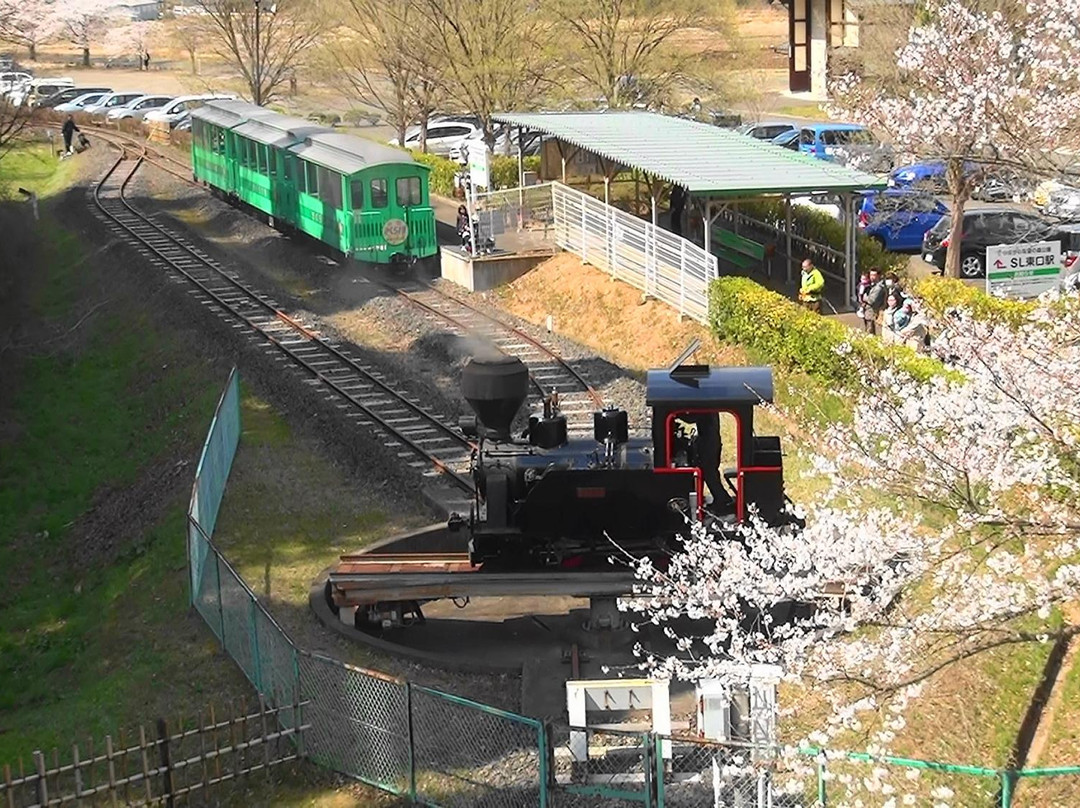 伊达市旅游攻略图片